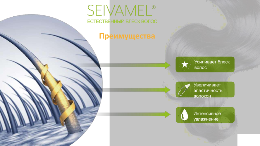 Seivamel Гидролизат Якона (Polymnia Sonchifolia) – натуральные био олигосахарилы для блеска и увлажнения волос