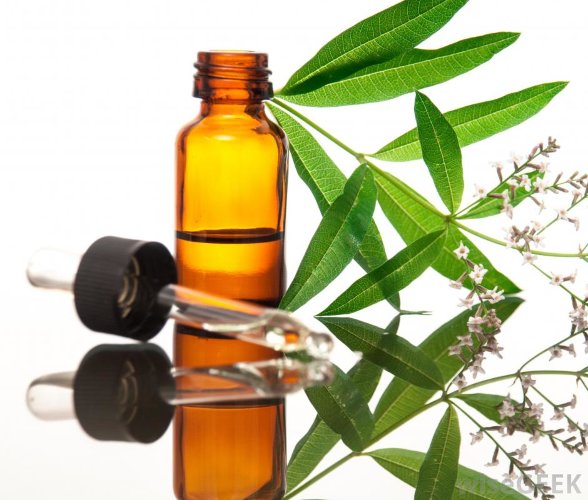 Эфирное масло Вербены